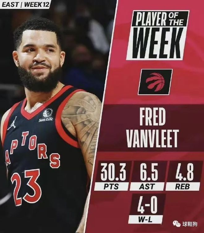 森林狼在G 森林狼在G